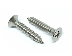 ASTM A193 B8M Phillips Head Screw